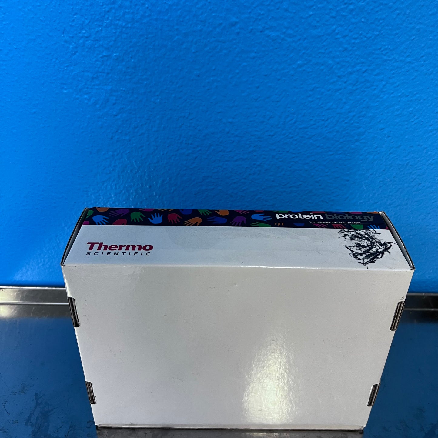 Thermo Scientific 87732 Slide-A-lyzer G2 Dialysis Cassettes 10k MWCO (5/case)